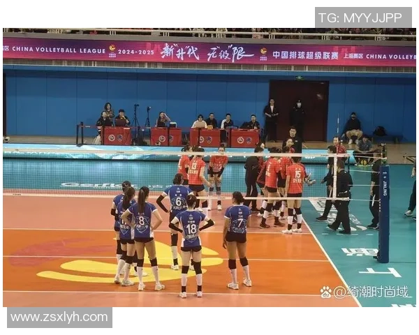 南京排球队的节奏与魅力探讨聚焦排球运动的热情与发展 南京排球队的节奏与魅力探讨聚焦排球运动的热情与发展