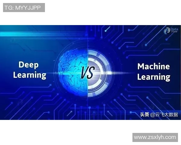 南京极限运动队比赛经验分析与数据洞察探讨