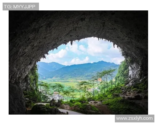 吴伟的攀岩人生探索与深度对话揭示极限运动背后的心路历程